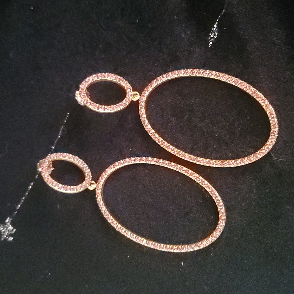 J. Crew Pink Rhinestone Circle Statement Earrings D
